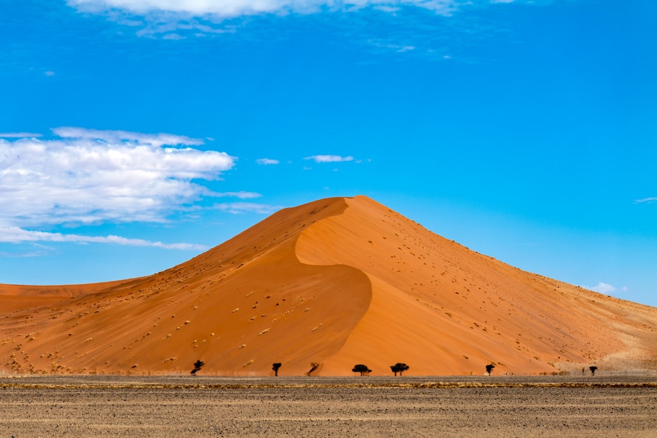 Turismo: Transafrica